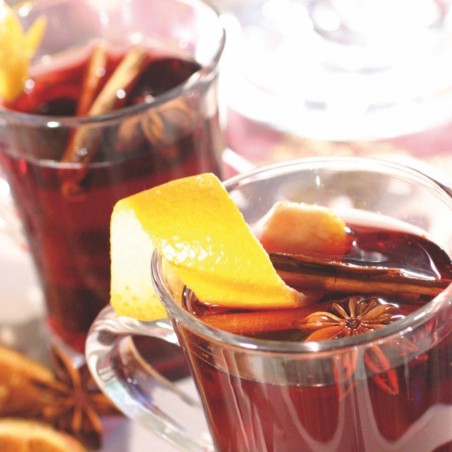 Fontaine à vin chaud OPREMA 2 robinets avec 2 pompes
