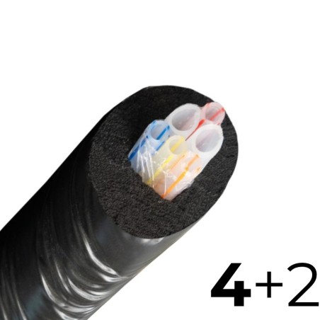 Python 4+2