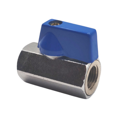 Vanne femelle femelle 1/4"