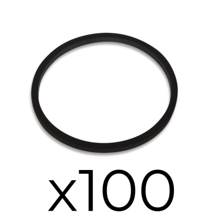 Lot de 100 joints de plongeurs