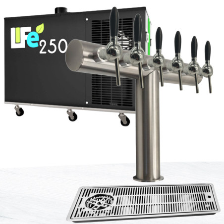 Ensemble Life 250